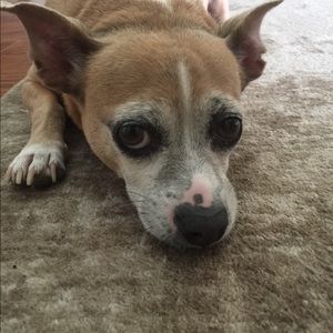 Meet your Posher, Joann